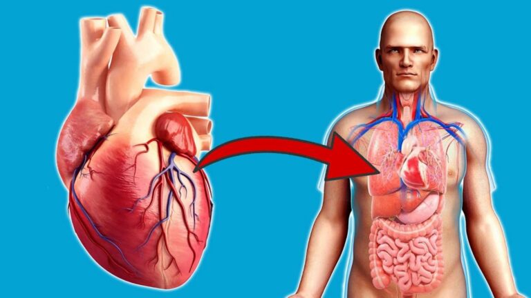 7 niezwykłych korzyści dla serca, gdy codziennie trenujesz!