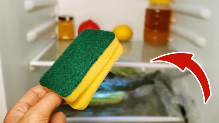 5 powodów, dla których gąbka w lodówce zmieni Twoje życie!